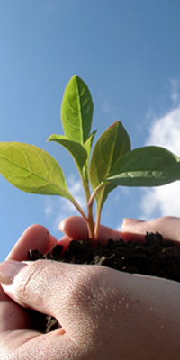 Aligning Your Resources for success